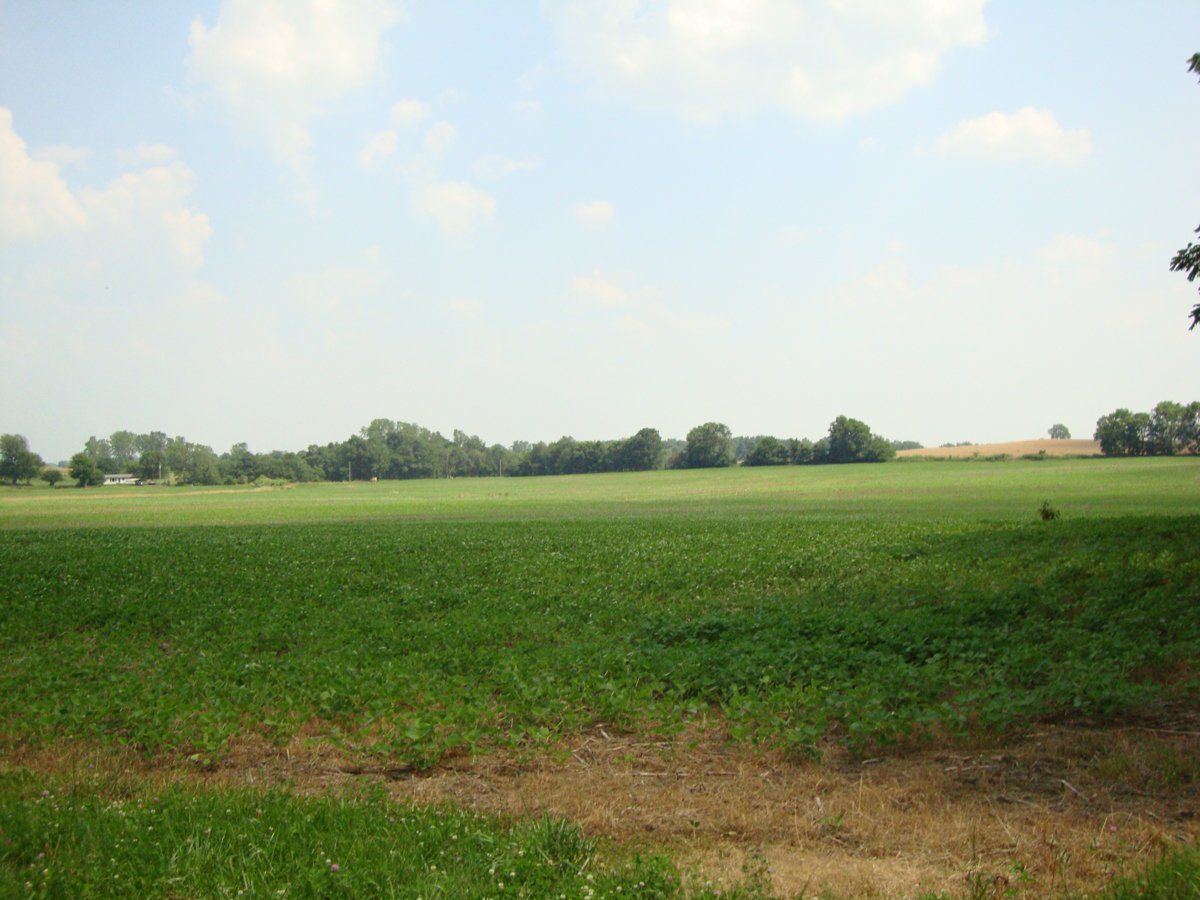 Property photo 12 - 160 Acres Offered in 6 Tracts